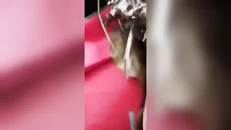 Tribal Village Slut Getting Pounded Outdoors In Leaked Mms