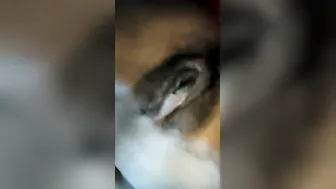 Desi College Girl Naked Video Chat Goes Viral With Lover