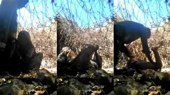 Dehati Randi Sucking Lund Fucked Raw In Open Fields