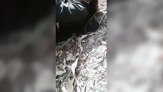 Dehati Randi Bhabhi Taking Lund Outdoors In Village Fields