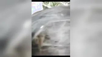 Village Randi Bhabhi Fucking Customers In Fields Leaked Mms