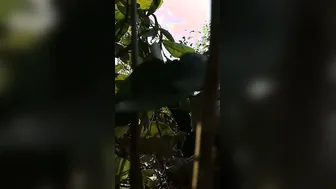 Desi Randi Gangbanged By Locals In Outdoor Viral Romp