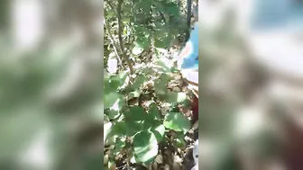 Odia Village Randi Fucked Rough By Client In Rice Field