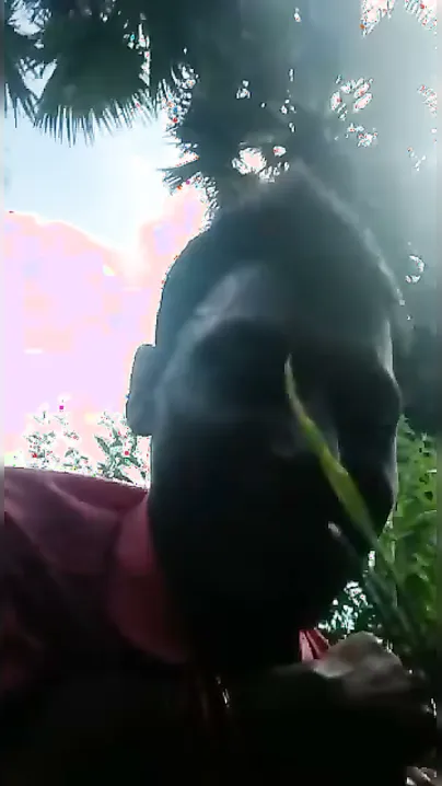 Mature Aunty Outdoor Doggy Fuck Viral In Mango Orchard Clip