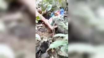 Jungle Dehati Couple Fucking Hard Caught On Hidden Phone Cam