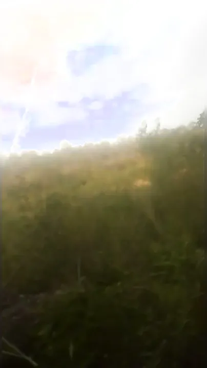 Village Bhabhi Peeing In Fields Caught By Naughty Devar