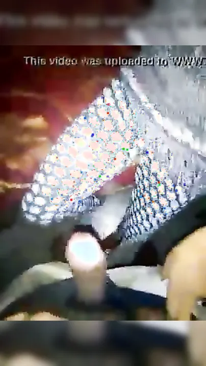 Teen Punjabi Cutie Sucking Her Bhaiya In Secret Video
