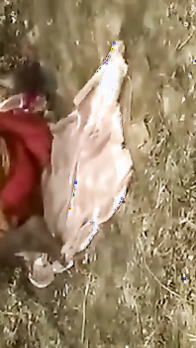Dehati Randi Getting Chudai Hard Under Village Banyan Tree Mms