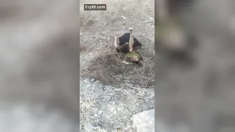 Village Randi Spreading Legs For Outdoor Pounding In Fields