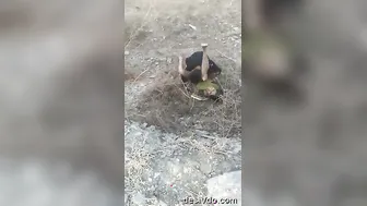 Village Randi Grinding Hips On Young Cock In Outdoor Bliss