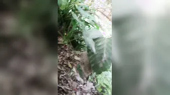 Bengali Aunty’s Outdoor Bath Turns Steamy As Neighbor Films Her Soapy Tits