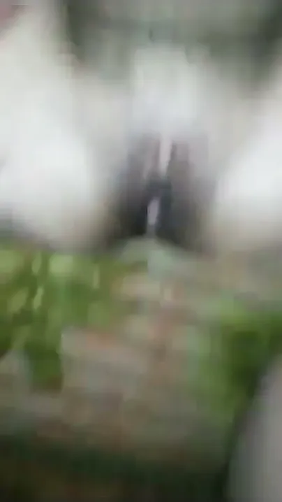 Pakistani Wife Gets Drilled By Neighbor’s Thick Cock While Hubby’s Away