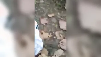 Jungle Fuck Gone Wild With My Sexy Gf Under The Trees Near The Riverbank