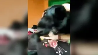 Cute Desi Girl Crying Out Loud In Hindi During Painful Chudai