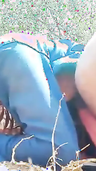 Bhabhi From Village Pulled Into Khet And Fucked Doggy Style