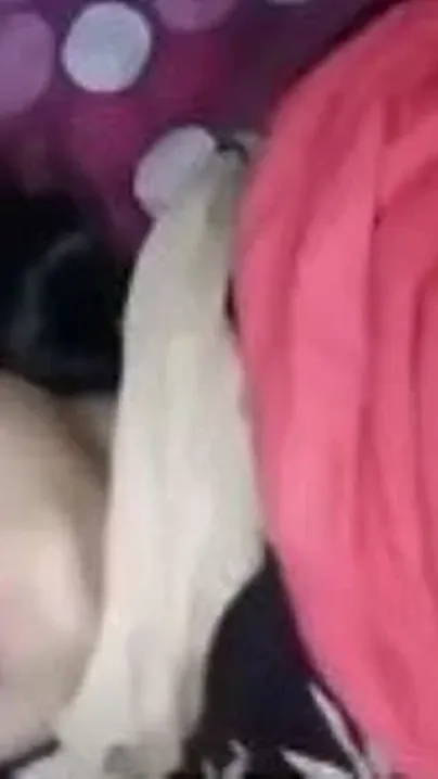 Assamese Gf From Guwahati Cried While Bf Stretched Her Tight Hole