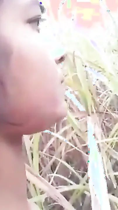 Jhat Wali Gf Ko Jungle Mein Sulake Choda Dhoop Ke Niche
