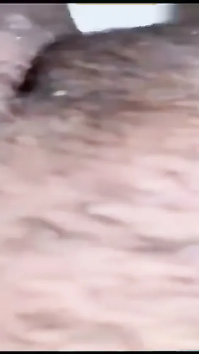 Gf Biting Pillow Screaming Faster Harder Don’t Stop Fucking Me
