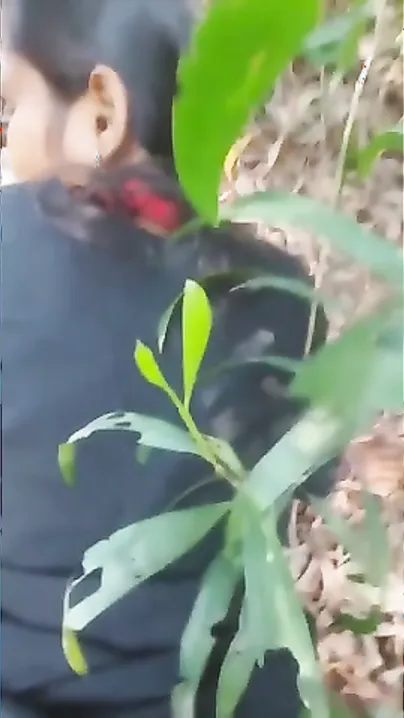 Bf Dragged Gf To Jungle, Made Her Ride Cock Then Forced It Down Her Throat