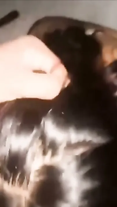 Sucked My Dick Clean Then Spread Legs Wide For Creampie Creampie Creampie