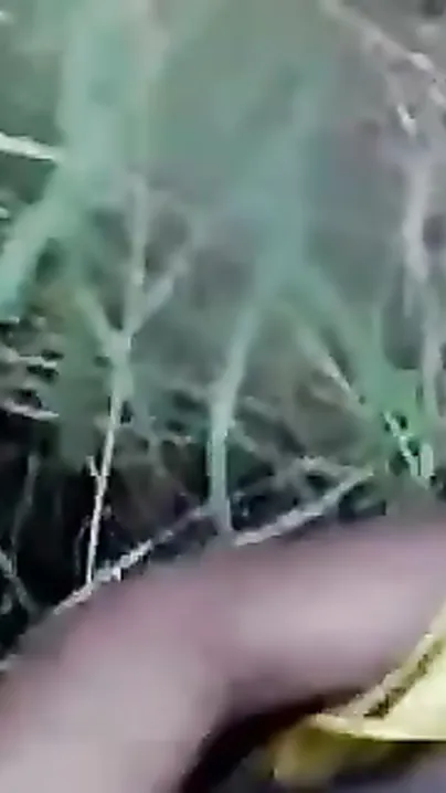 Desi Indian village bhabhi devar incest sex episodes compilation