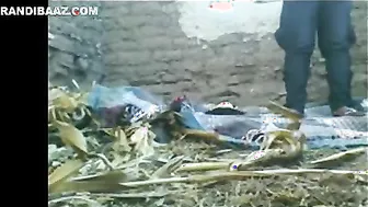 Desi mms sex scandal of village bhabhi in trio