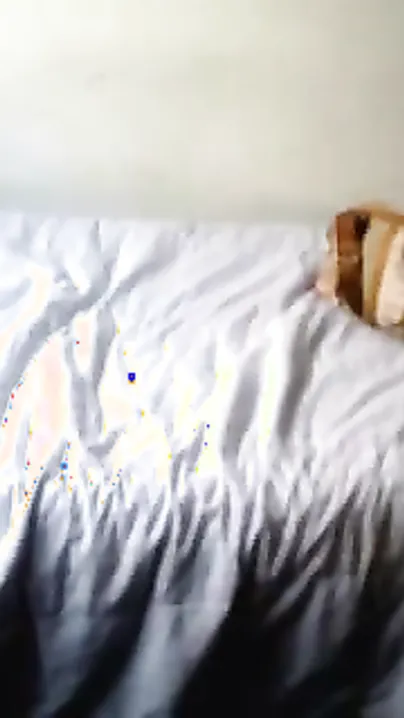 Hidden webcam home sex video of desi Indian hotty dripped