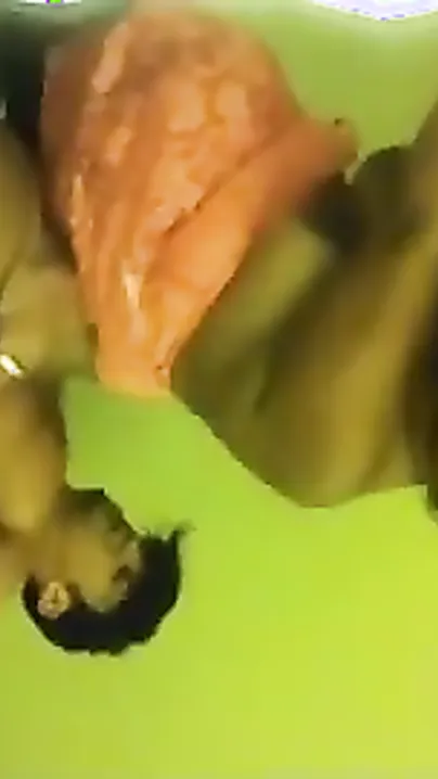 Large pantoons Punjabi bhabhi hardcore sex with neighbor