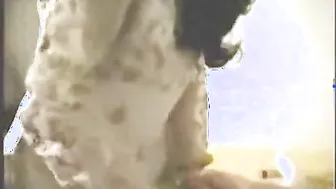 Indian sex mms desi aged wife hardcore sex with college boy