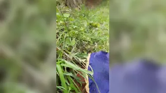 Jungle Mein Dehati Ladki Ko Pakad Kar Jabardast Chudai Ki