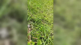 Jungle Mein Dehati Ladki Ko Pakad Kar Jabardast Chudai Ki