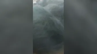 Friend’s Hot Wife Sucked Me Off Then Took It In Her Ass