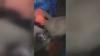 Shot Thick Load Down GF’s Throat After She Gagged On My Cock