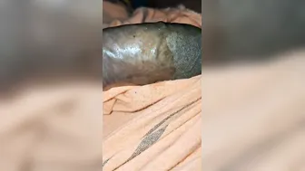 Wife Ki Badi Bahan Ko Lund Chuswa Kar Chut Ki Jhatka Bhari Chudai