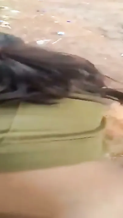 Bent My Gf Over Jungle Log And Rammed My Cock Deep In Her Tight Little Hole