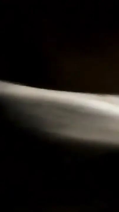 Flipped GF Over And Rammed My Thick Cock Deep Into Her Tight Cunt