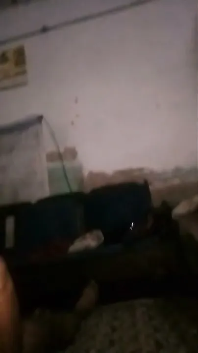 Gf Ko Upar Chada Kar Uski Bur Ki Mast Chudai Ki Aur Land Chusaya