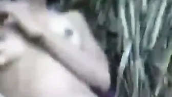 Fucked Smooth Village Pussy Hard In Sugarcane Field Under The Hot Afternoon Sun