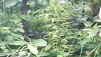 Took My GF Jungle Trekking Then Fucked Her Tight Pussy Deep In The Woods