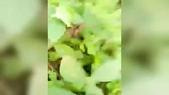 Jungle Mein School Ki Ladki Ko Le Gaya Aur Uski Bur Ki Chudai Ki