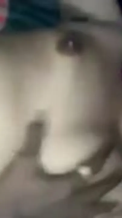 Bhavi Got Fucked Hard While Talking On The Phone With Her Legs Wide Open