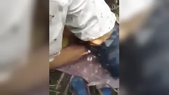 Fucking Bhabhi In Mustard Fields After Lifting Her Wet Saree For Raw Bur Chudai