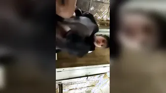 Schoolgirl Fucked Hard On Classroom Bench During Lunch Break