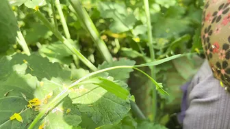 Desi GF Moaning Loud Outside Dhaba In Crop Top