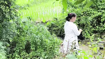 Jungle Picnic Turns Wild As Mangal Beats Fuck Rhythm