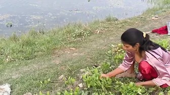 Desi Village Girl Fucked Hard While Filling Form Alone At Home