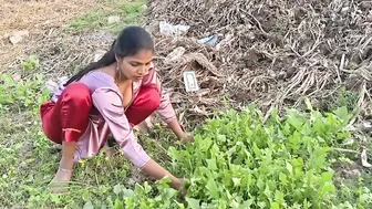 Desi Village Girl Fucked Hard While Filling Form Alone At Home