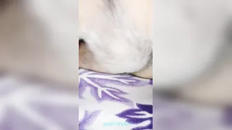 Indian Bhabhi Cries In Pain As Black Cock Rips Her Tight Asshole Apart