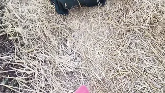 Indian Girlfriend Moaning Loud Taking Boyfriend's Cock In Jungle Field