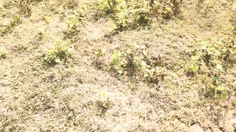 Indian Girl Bent Over In Jungle Getting Pounded By Boyfriend Outdoors